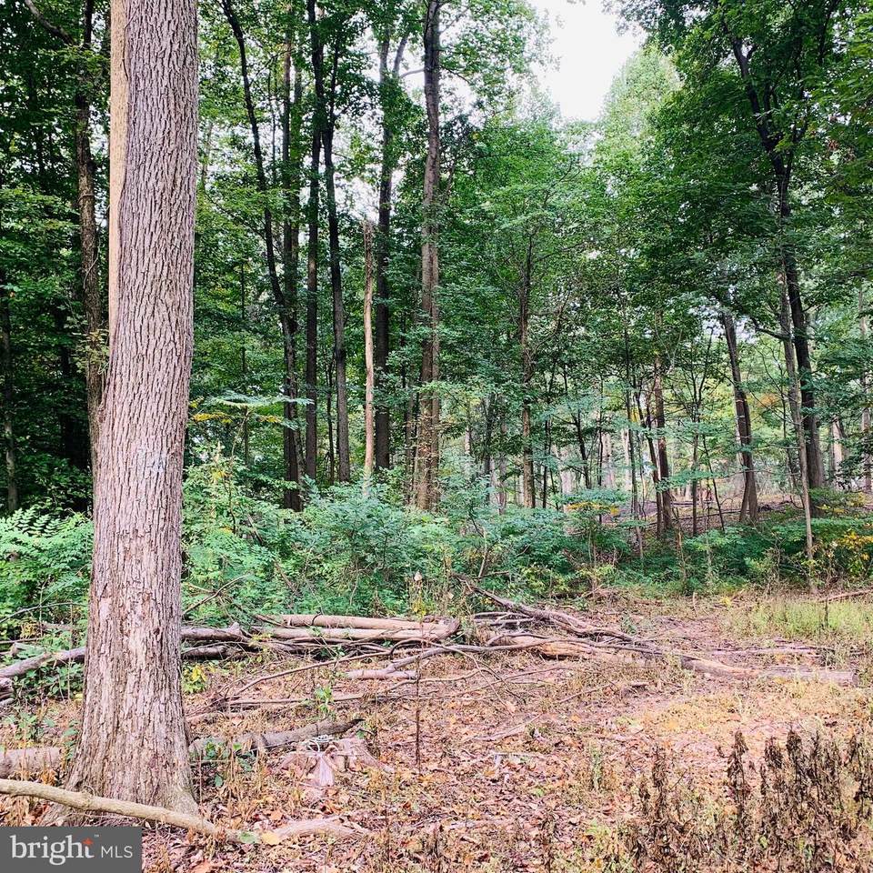 0 Hill Church Road - Photo 1