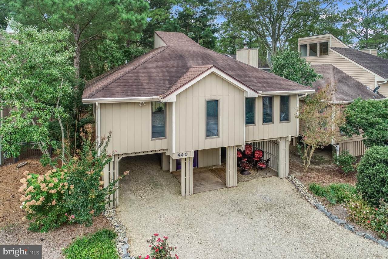 440 Black Gum Drive - Photo 1