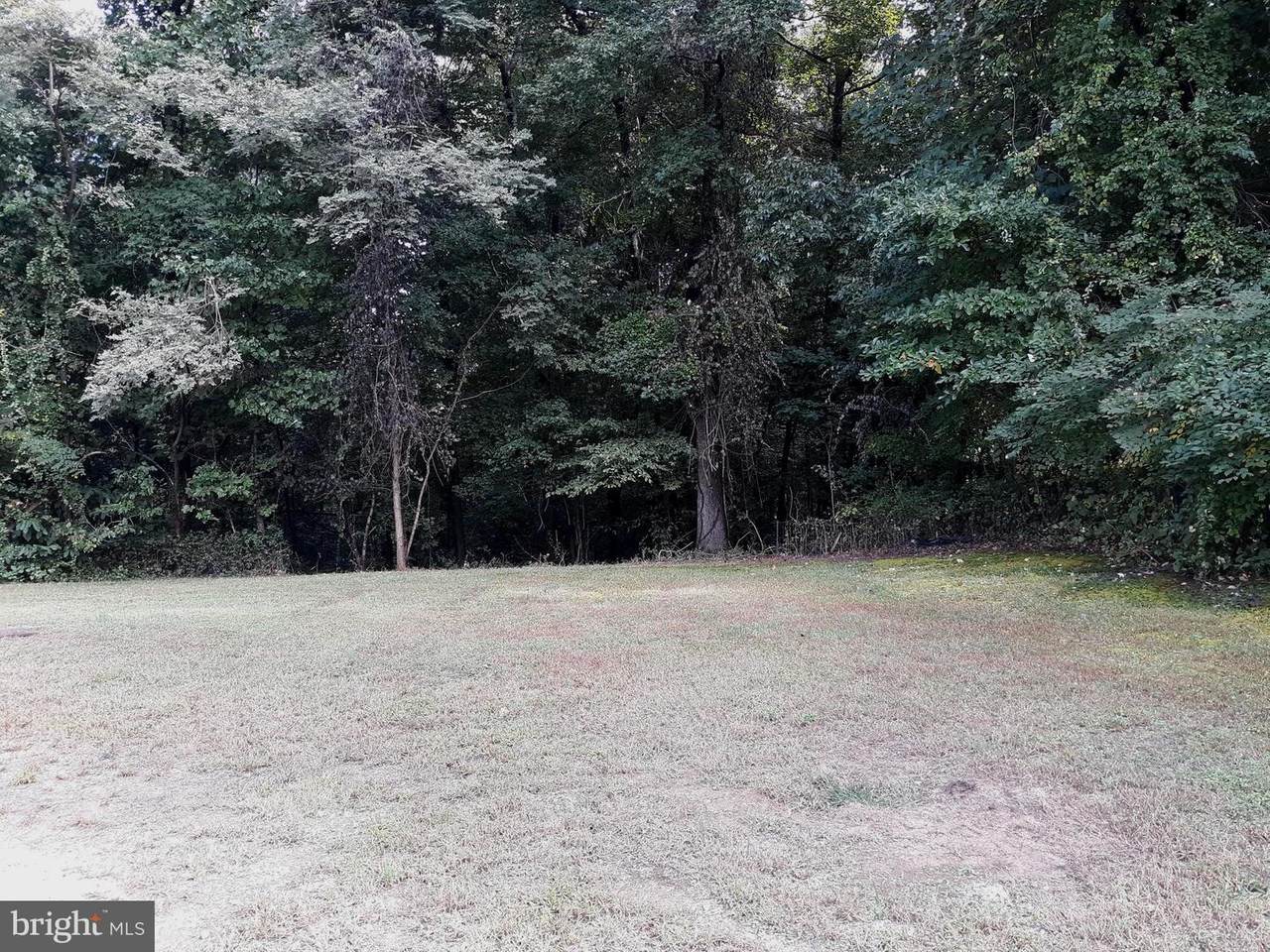 5285 Fuss Lane - Photo 1