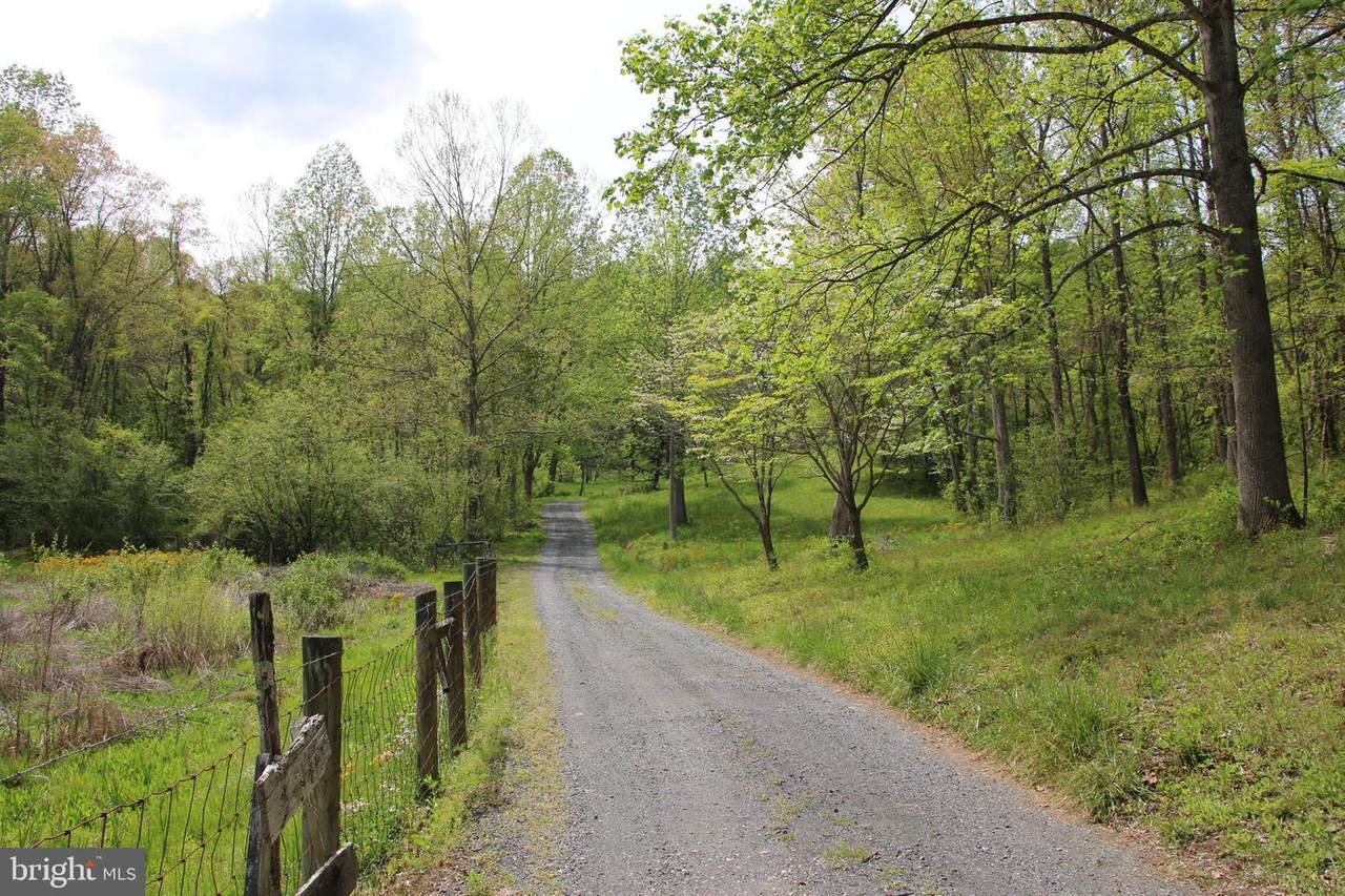 Chestnut Run Lane - Photo 1