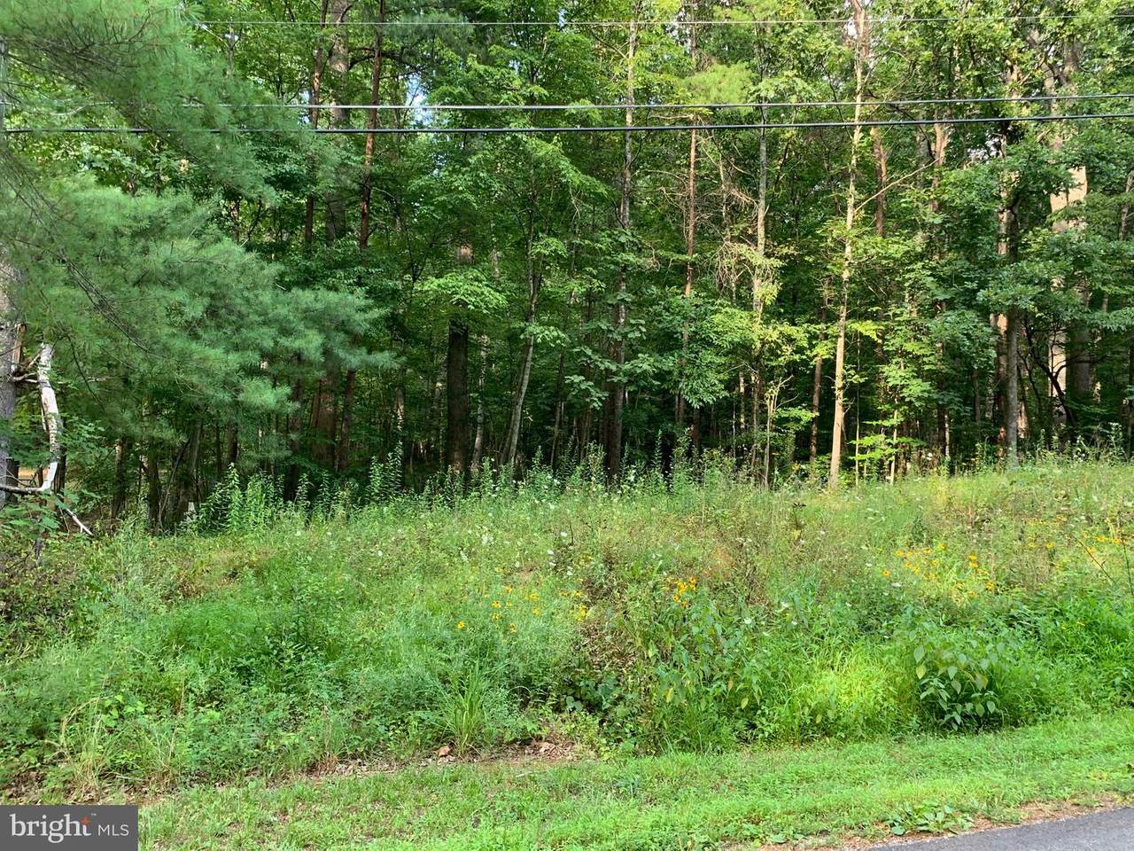 Lot 789 Poplar Drive - Photo 1