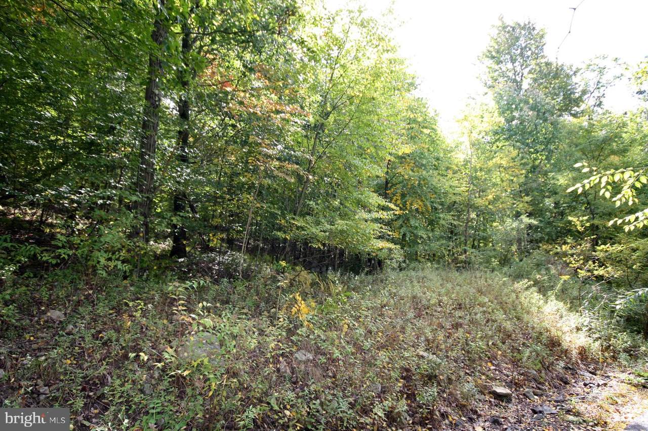 Lot S Highwood Drive - Photo 1