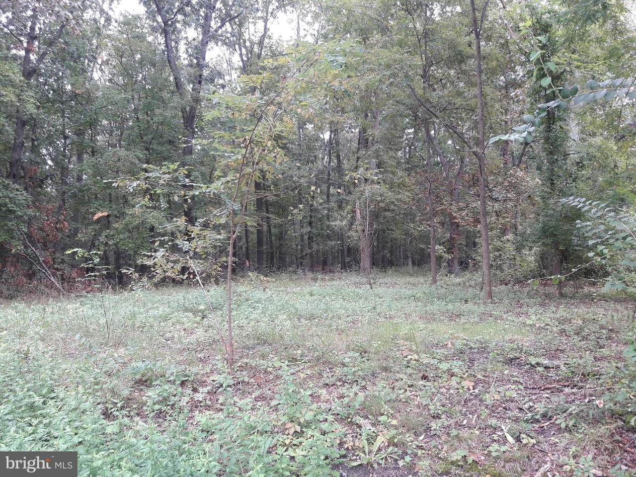 802-04 Texas Avenue Avenue - Photo 1