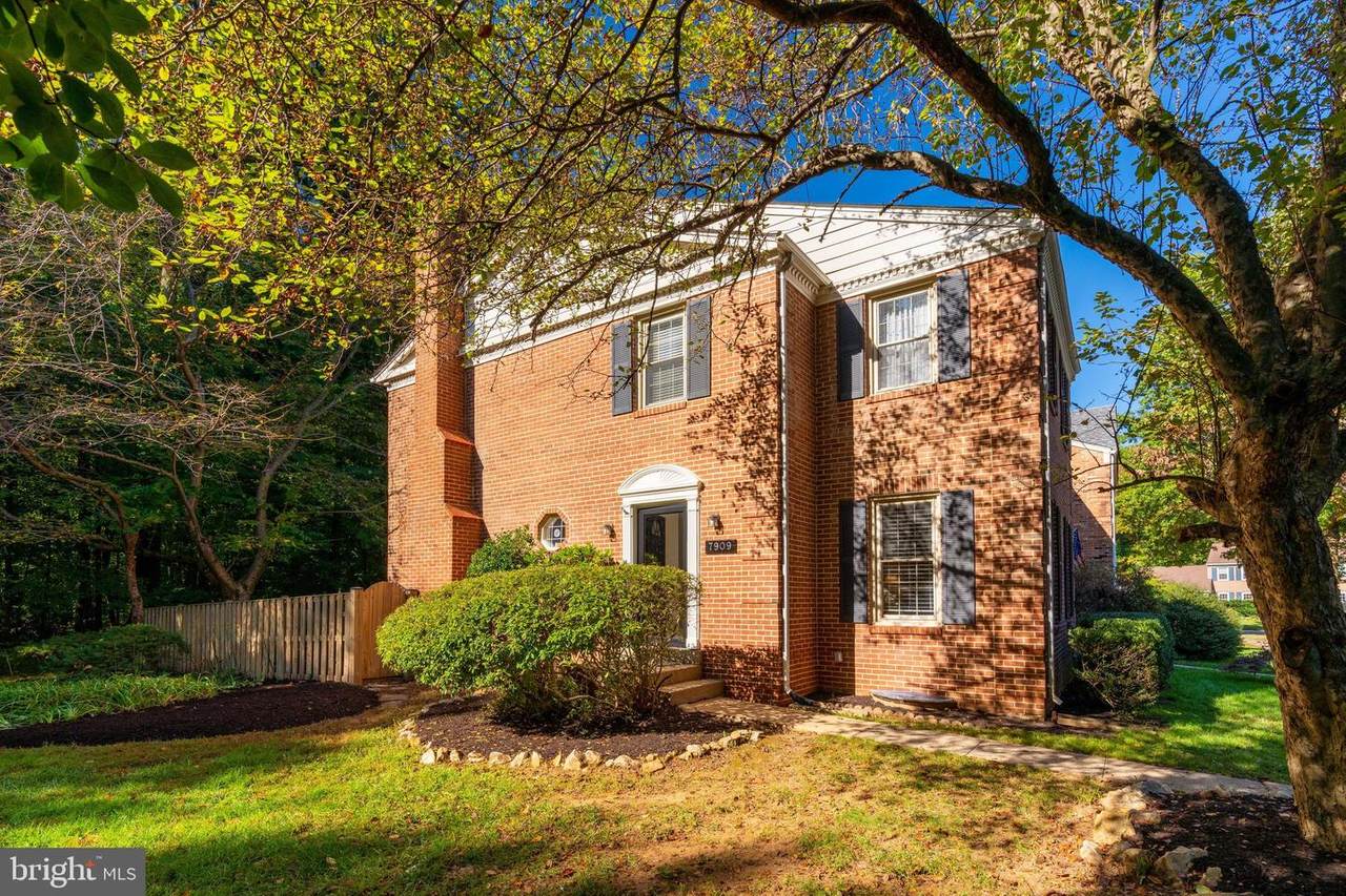 7909 Treeside Court - Photo 1
