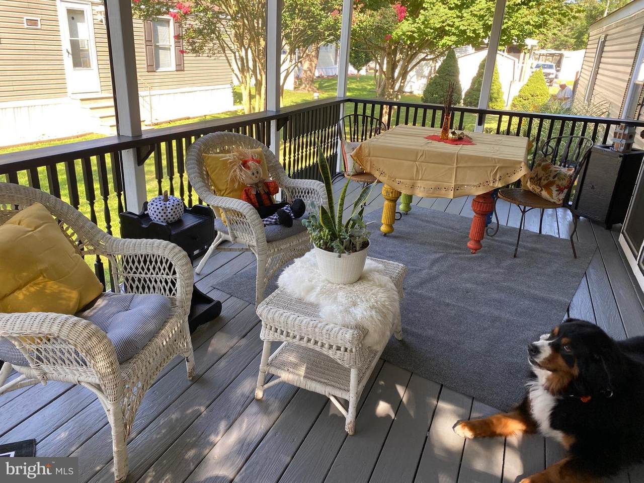 21245 M Street - Photo 1