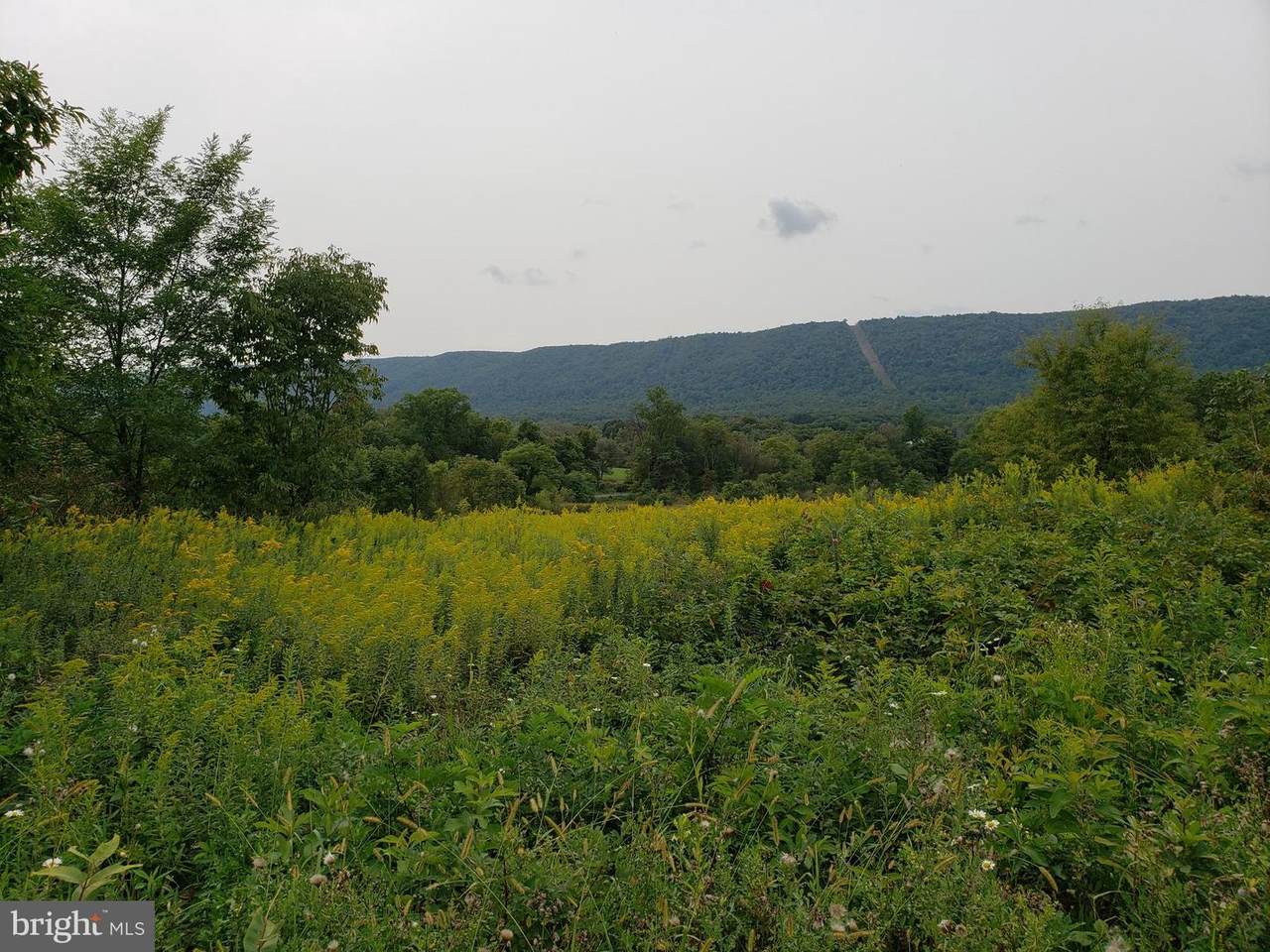 0000 Doubling Gap Road - Photo 1