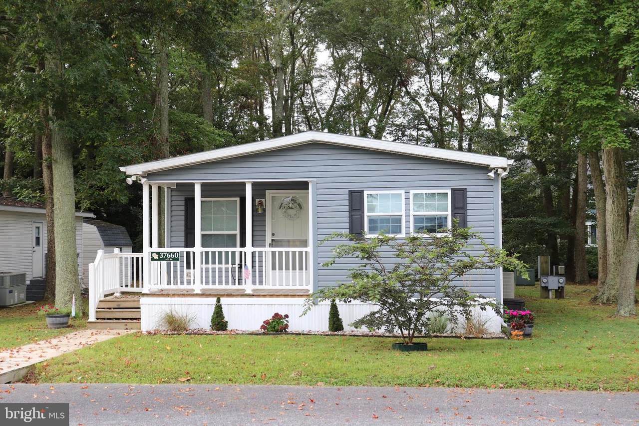 37660 Shady Drive - Photo 1