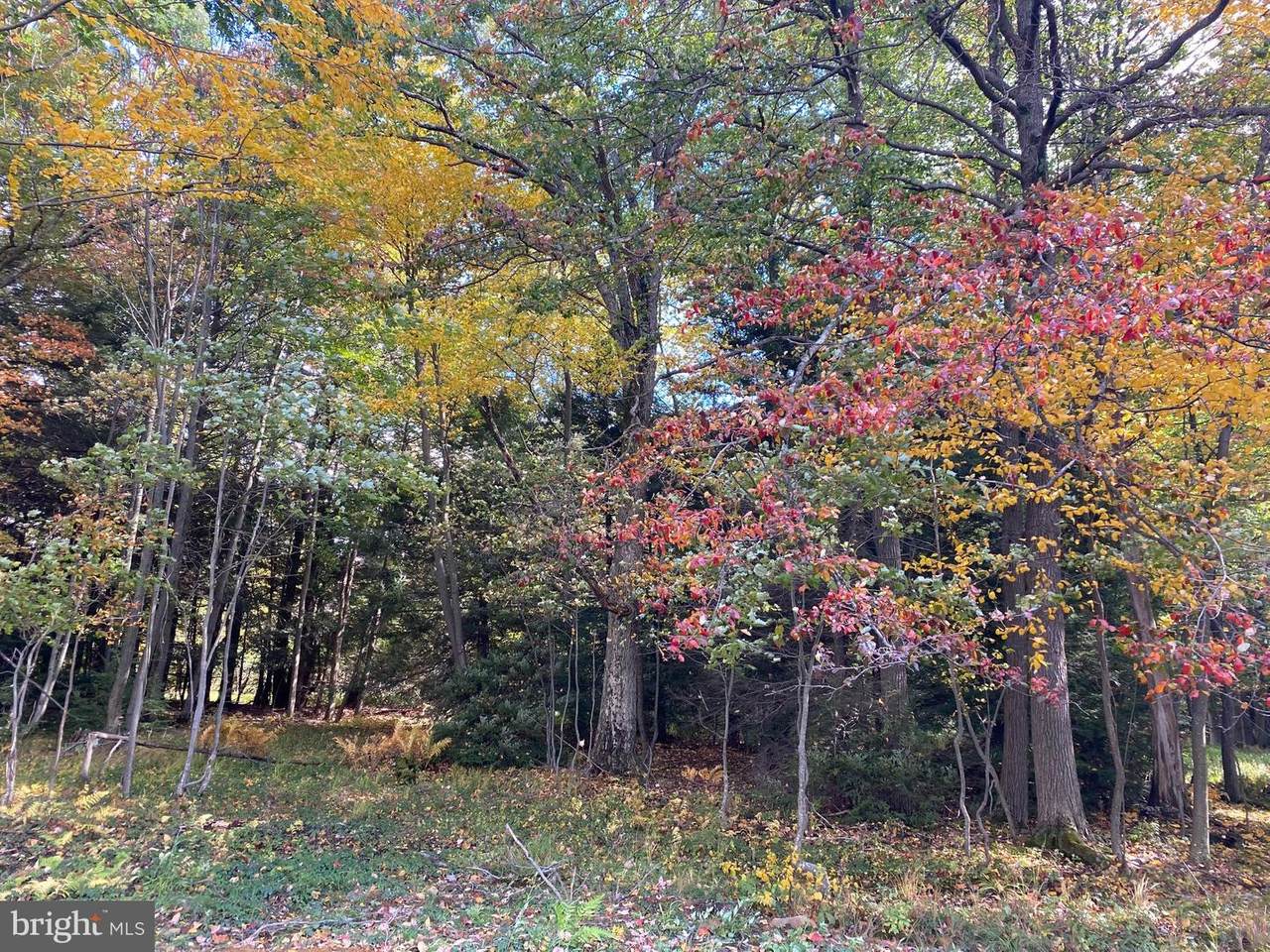 Glades Way - Photo 1
