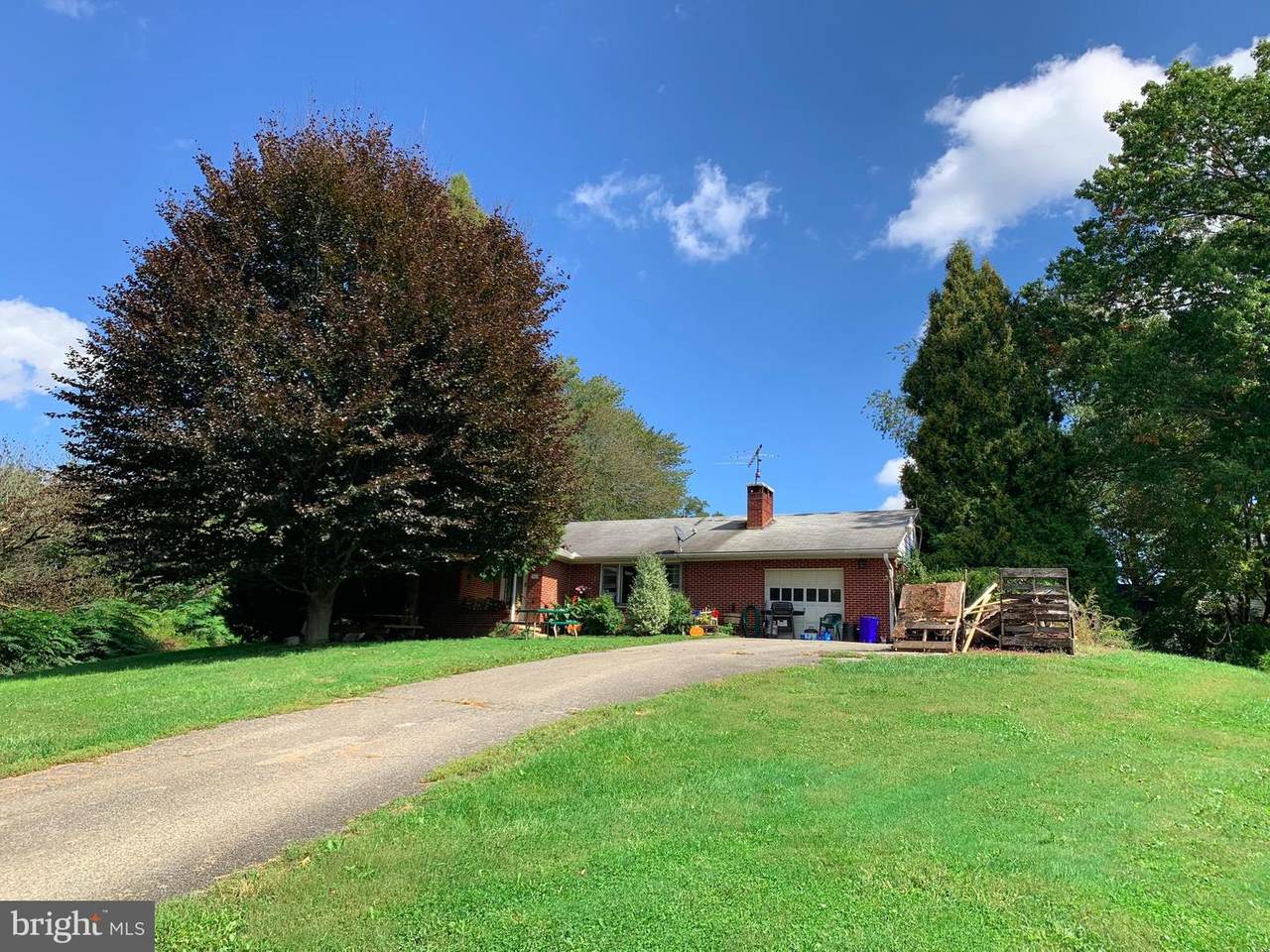 451 Locust Street - Photo 1
