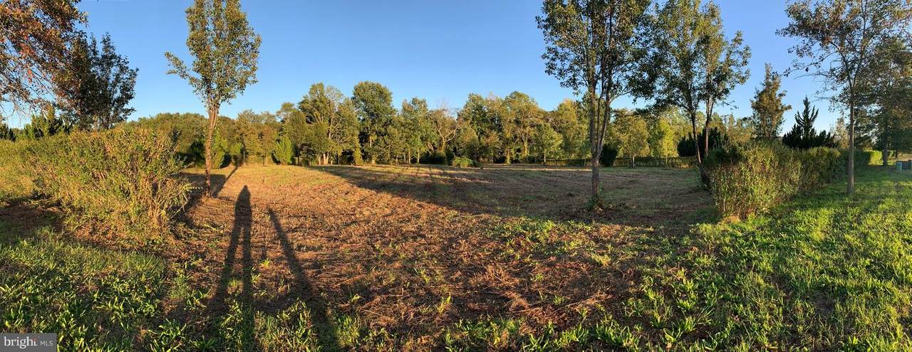 Little Creek Lane - Photo 1