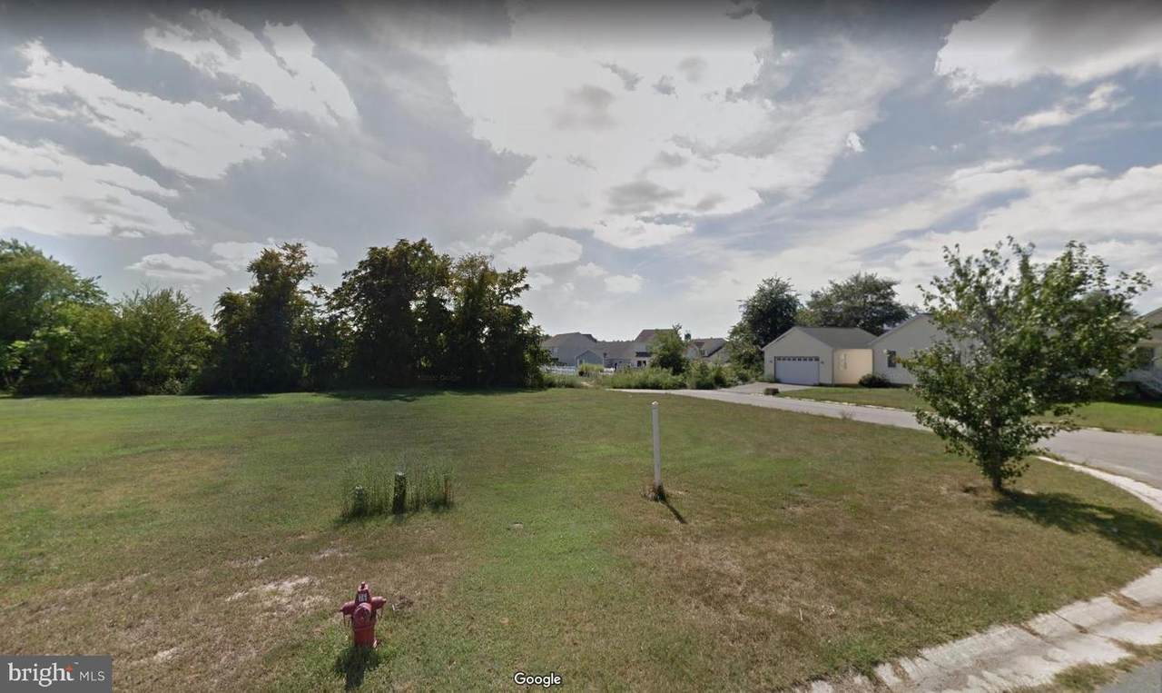 Mallard Drive - Photo 1