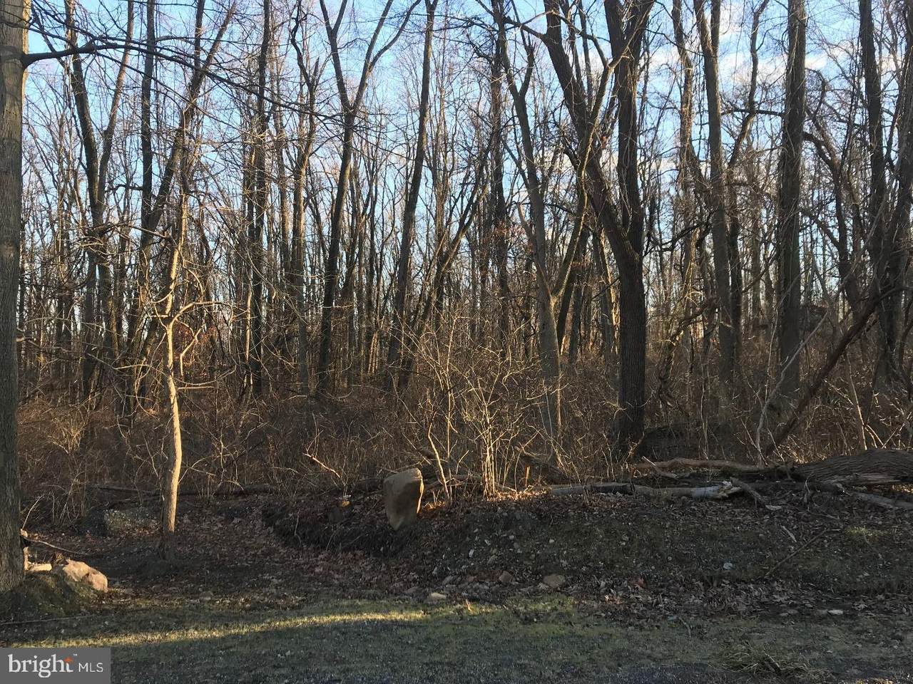 2400 Flowing Springs Road - Photo 1