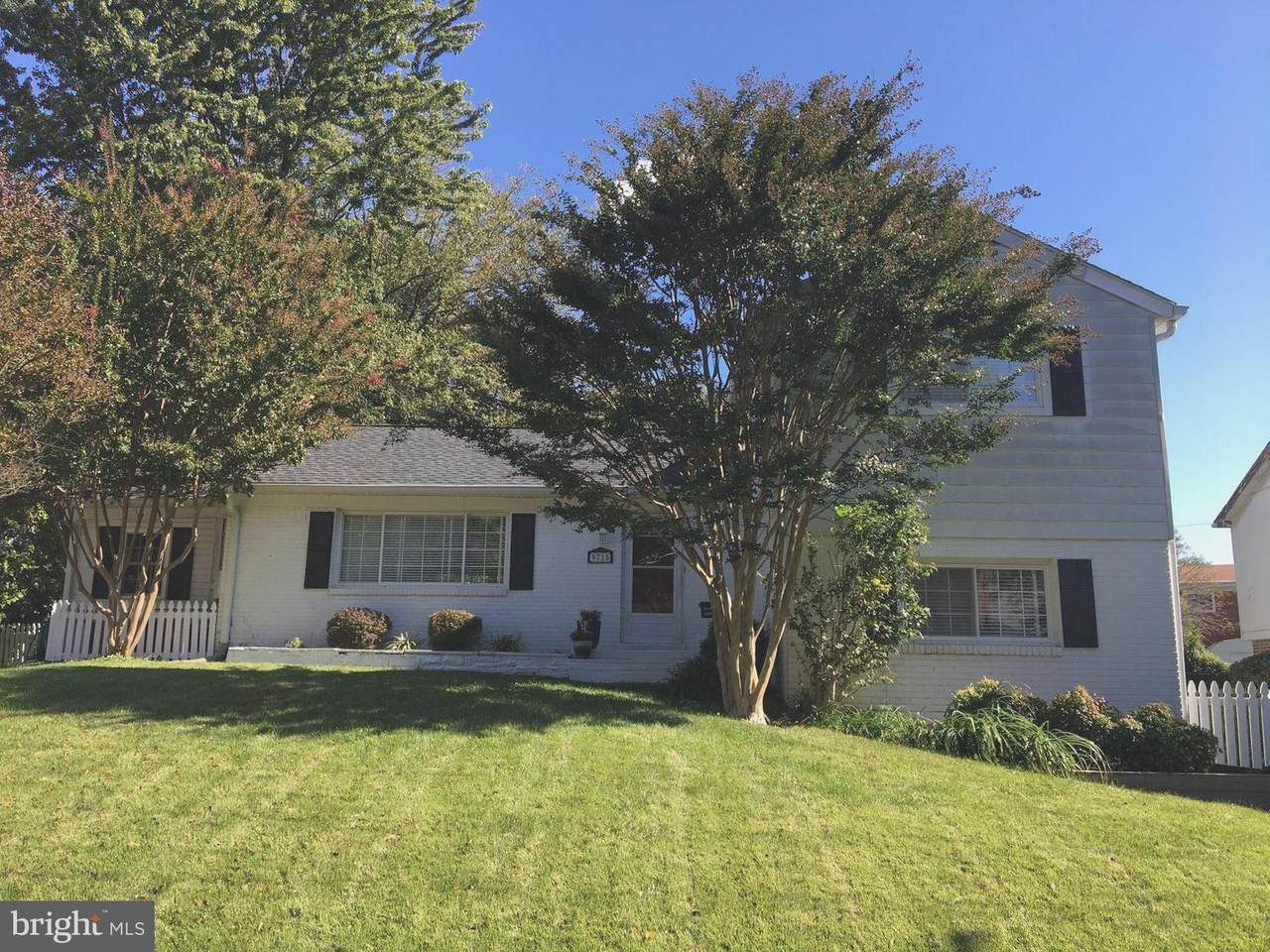 9715 Forest Grove Drive - Photo 1
