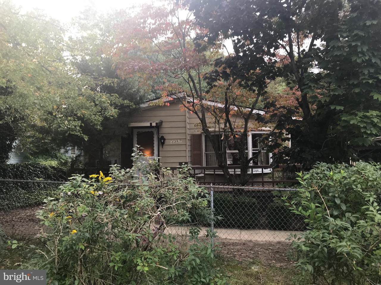 3387 Liberty Street - Photo 1