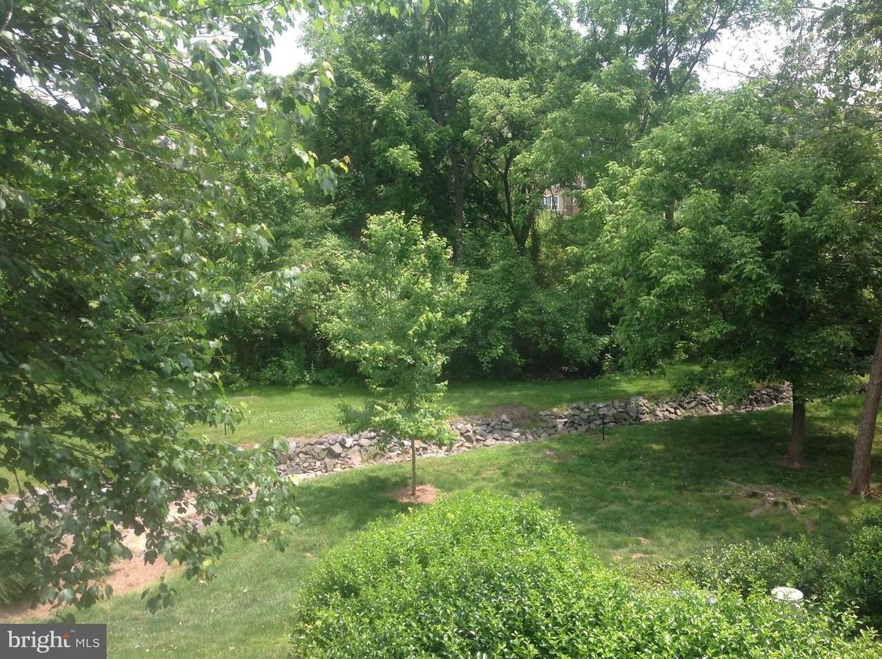 14321 Climbing Rose Way - Photo 1