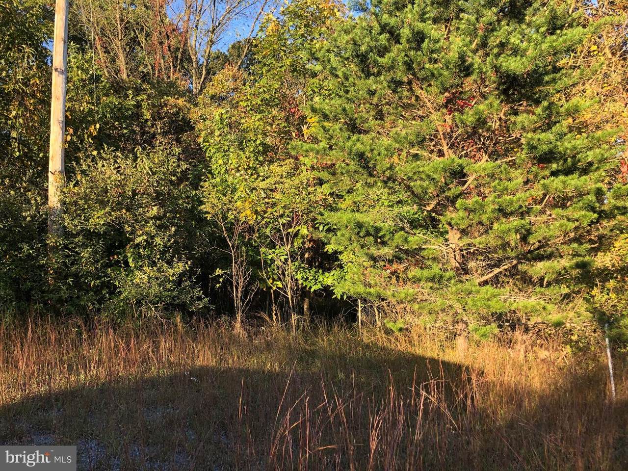 Jack Russel Ridge Road - Photo 1