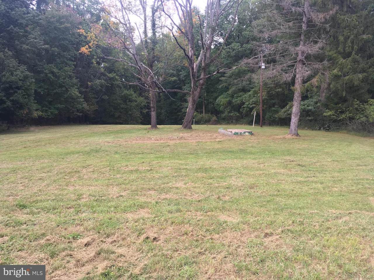 13541 Sagle Road - Photo 1