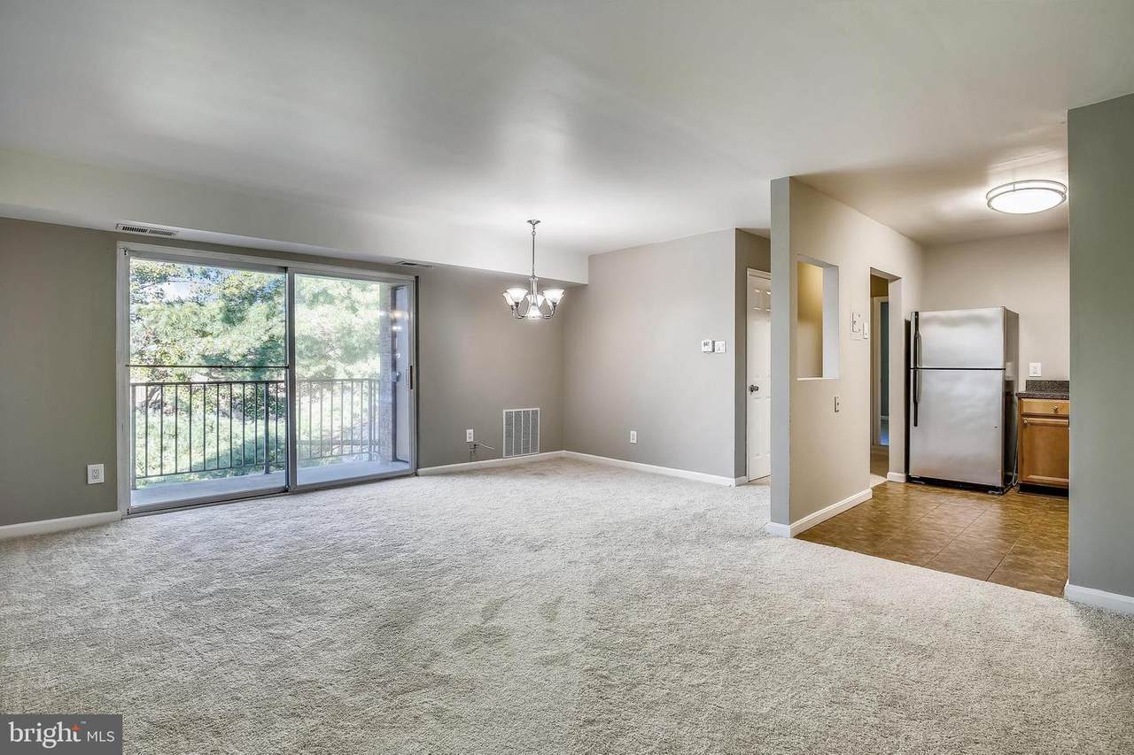 7974 Audubon Avenue - Photo 1