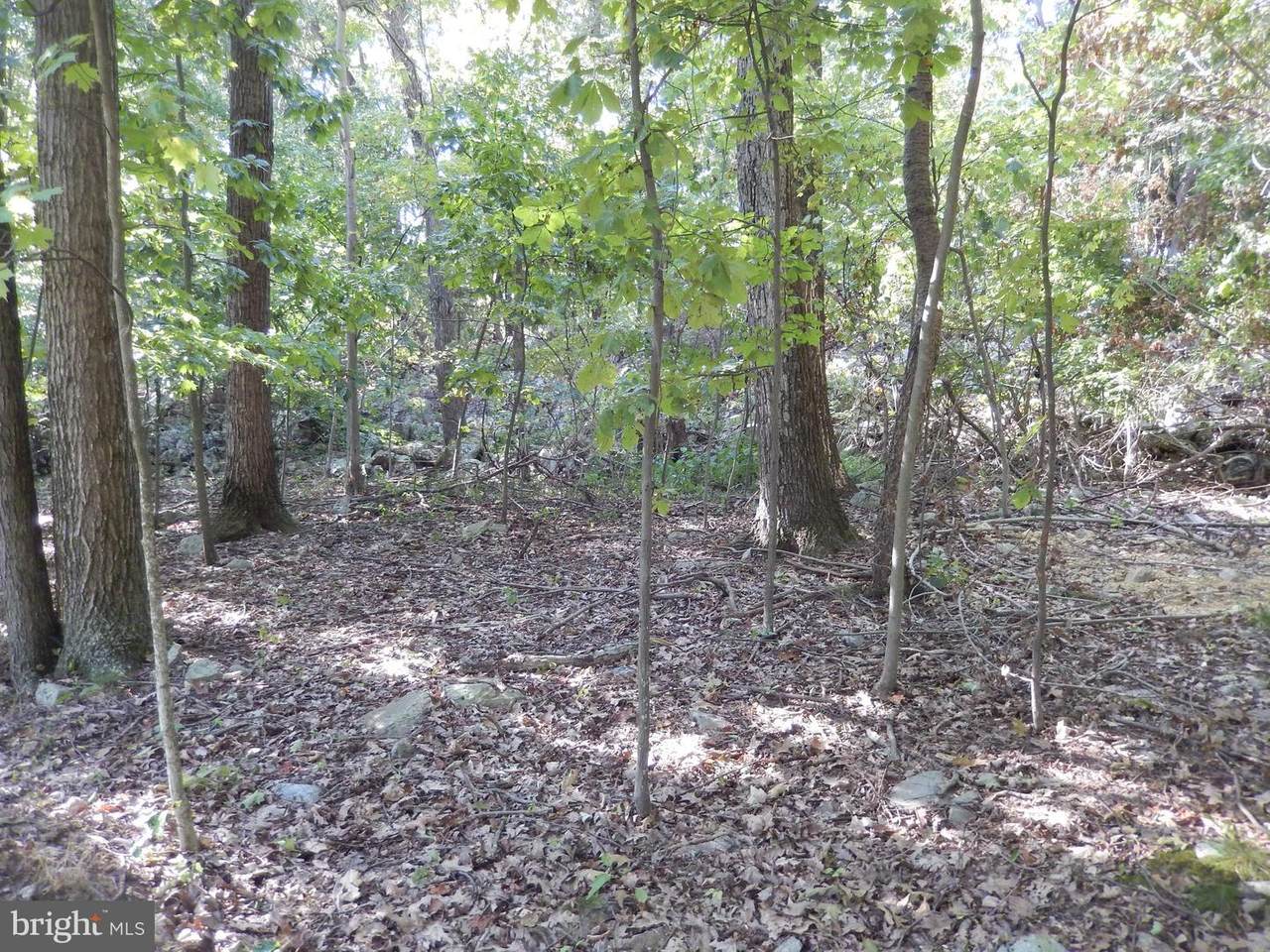 0 Watson Drive - Photo 1