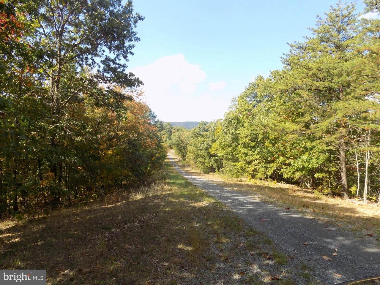 Lot 28 Bungalow Road - Photo 1