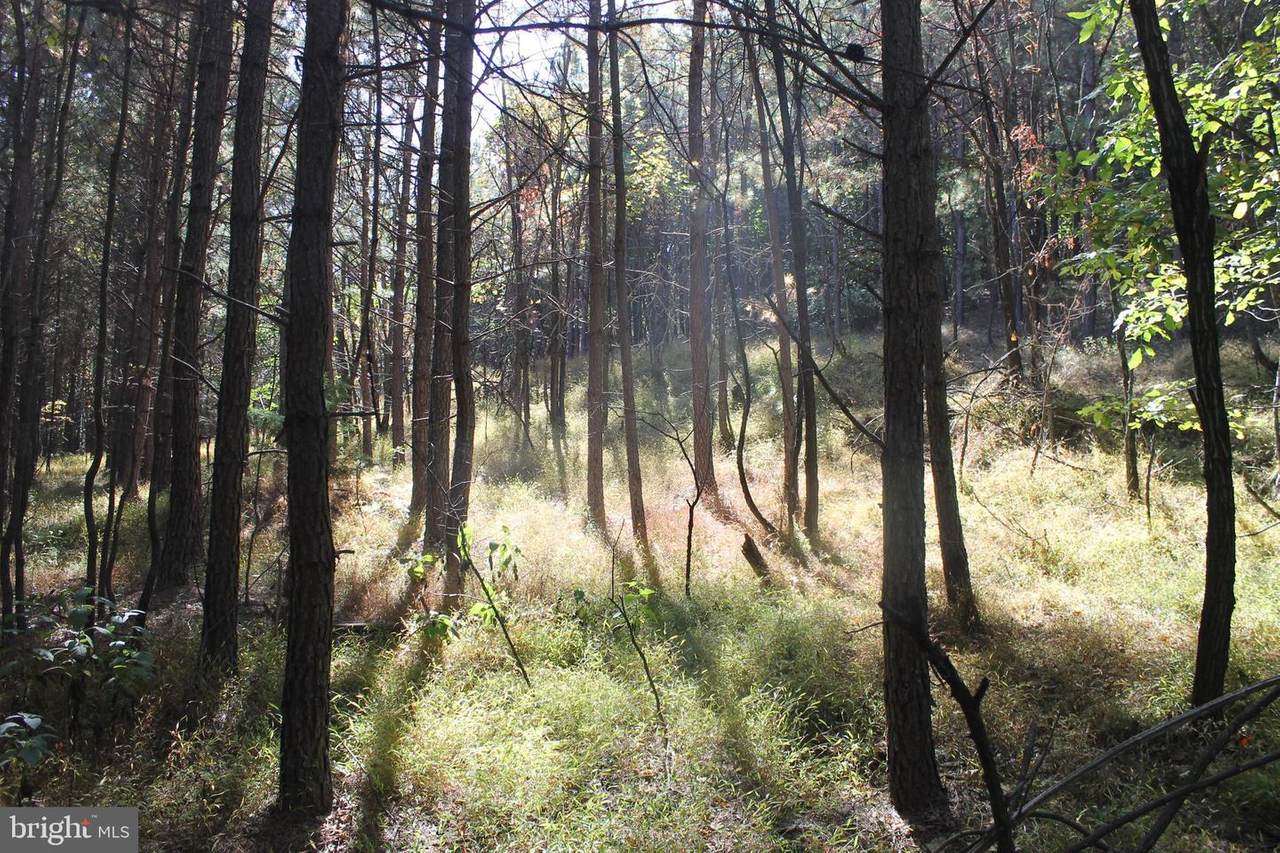 Lot 85 Trough View Rd - Photo 1