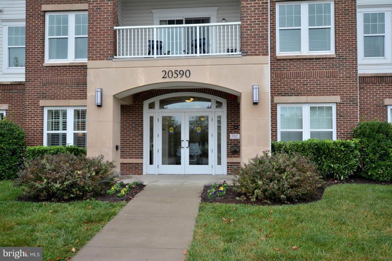 20590 Hope Spring Terrace - Photo 1
