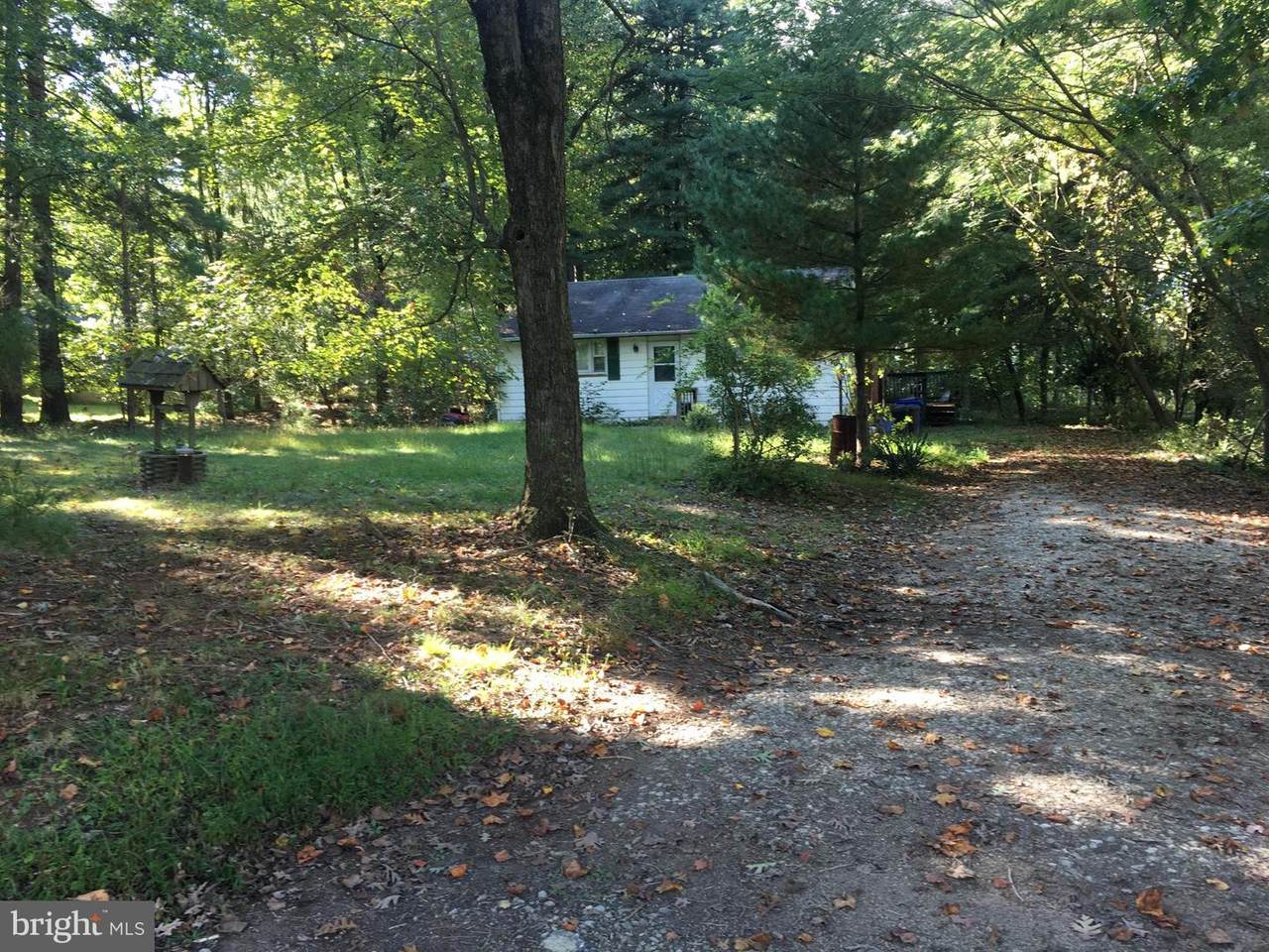 11990 Hall Shop Road - Photo 1
