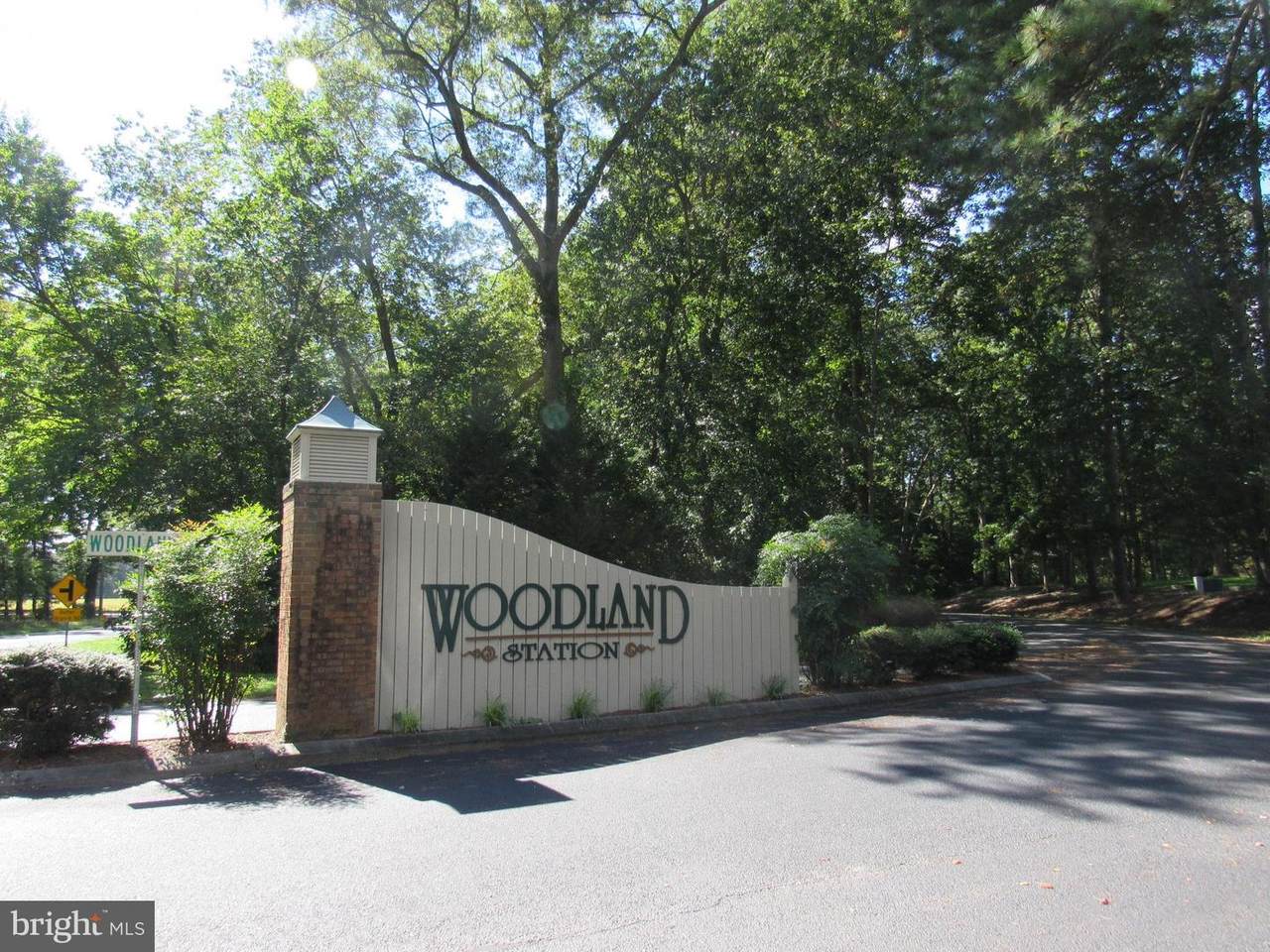 3 Woodland Drive - Photo 1