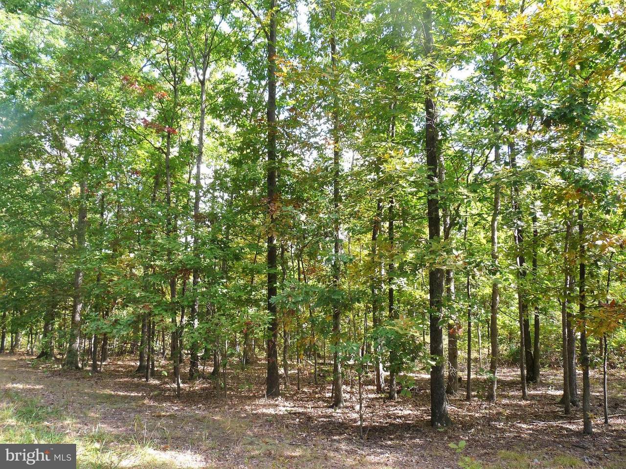 Lot 5 Whistling Winds Trail - Photo 1
