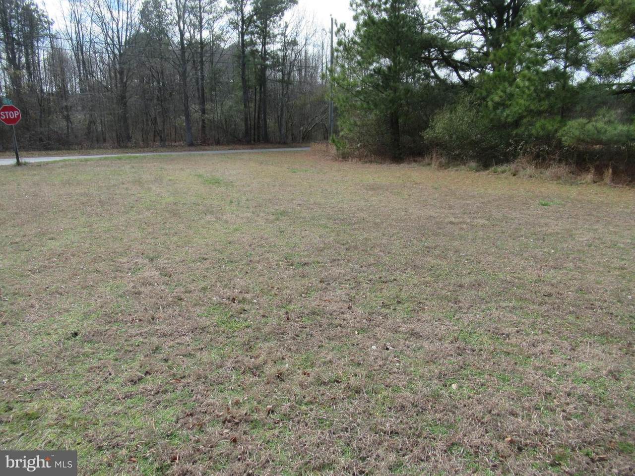 0 Thomas Price Road - Photo 1