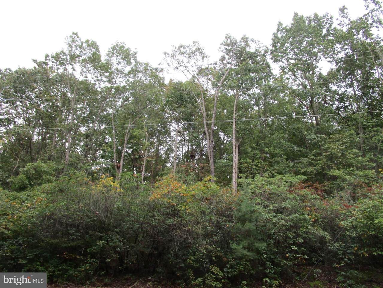 Old Elk Neck Road - Photo 1