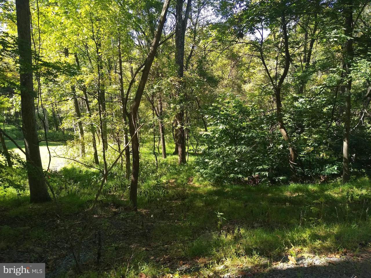 Lot 9BB Greenfield Road - Photo 1