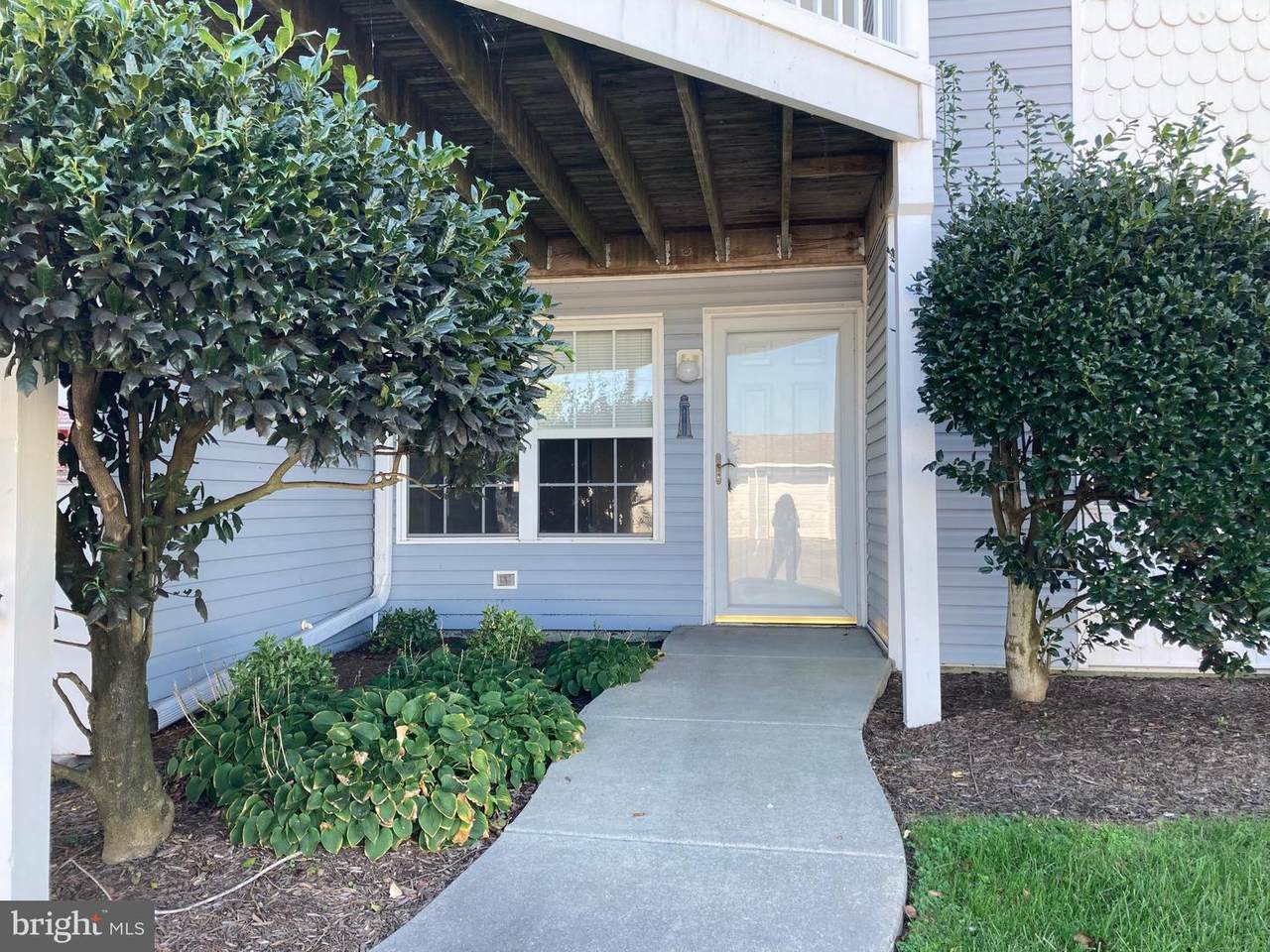 37494 Pettinaro Drive - Photo 1
