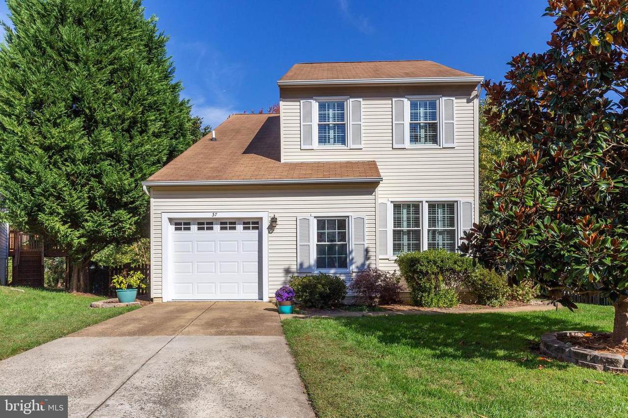 37 Jeremy Court - Photo 1