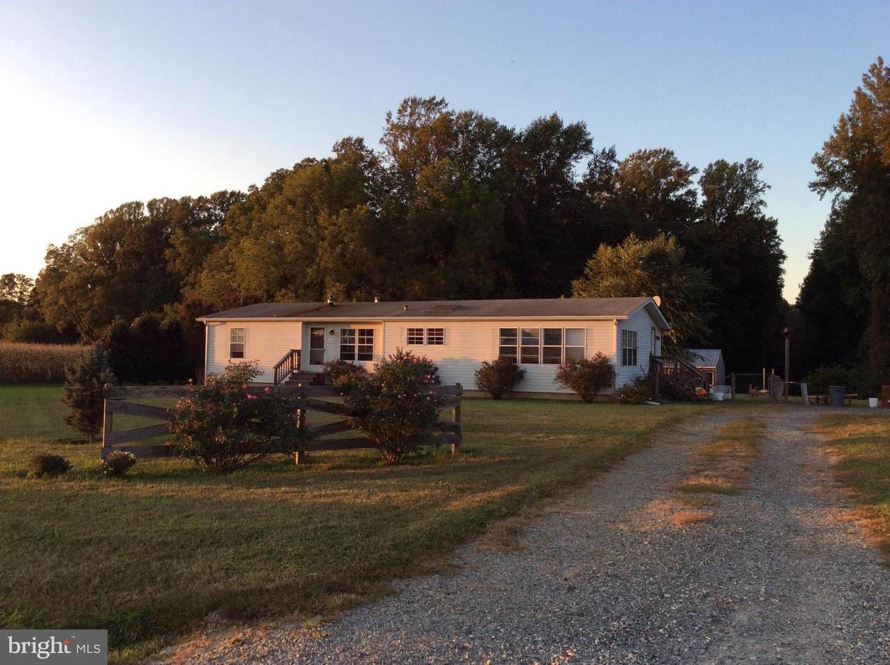 407 Blanco Road - Photo 1