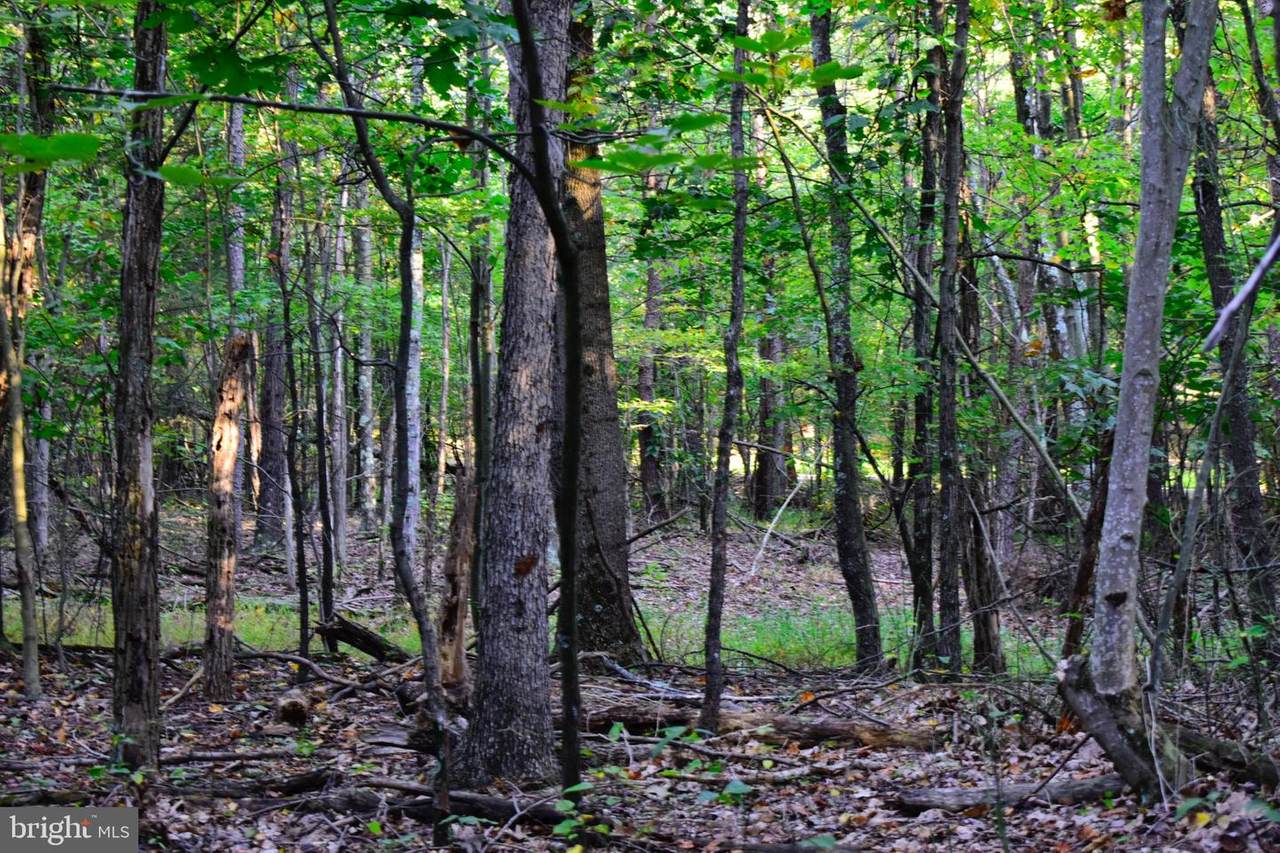 Lot 4 Smokey Shire Ln - Photo 1