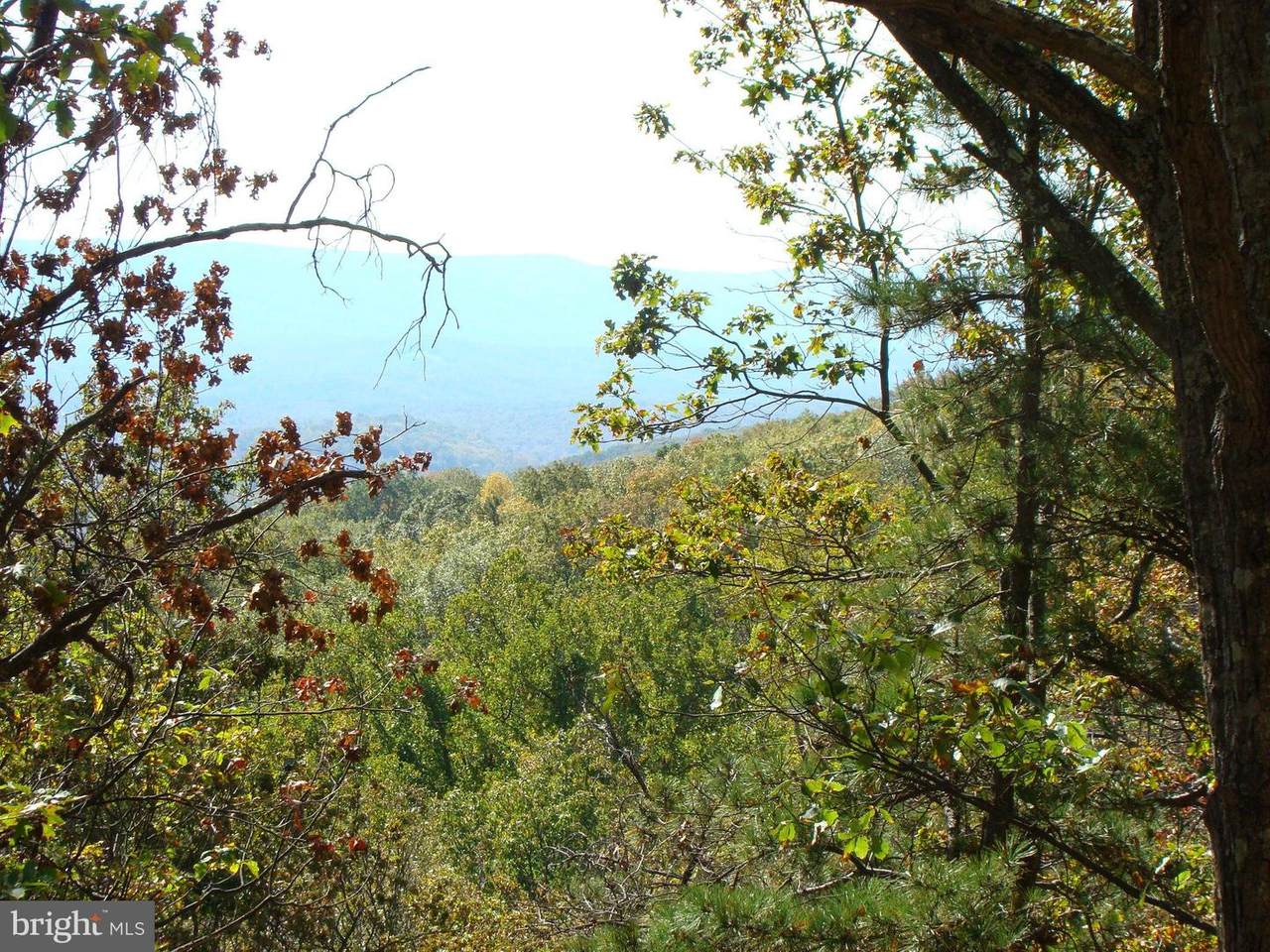 7 Otter Trail - Photo 1