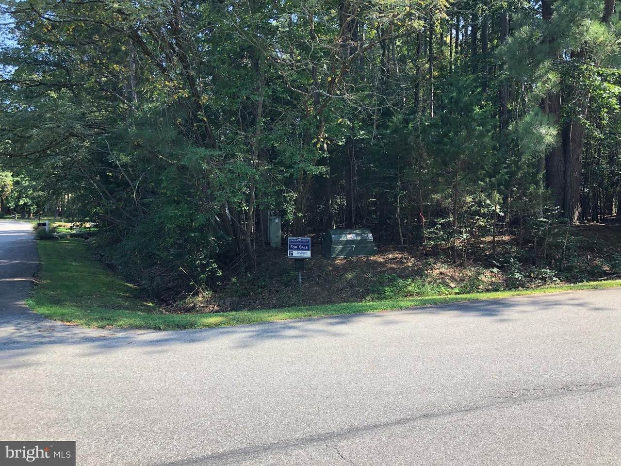 11762 Wollaston Circle - Photo 1