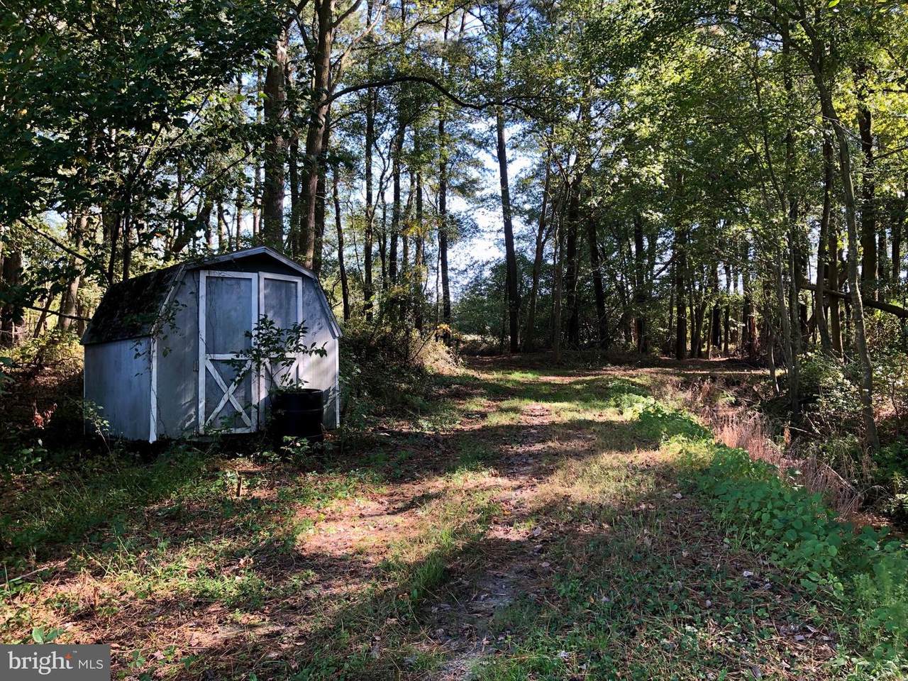 32654 Gum Road - Photo 1