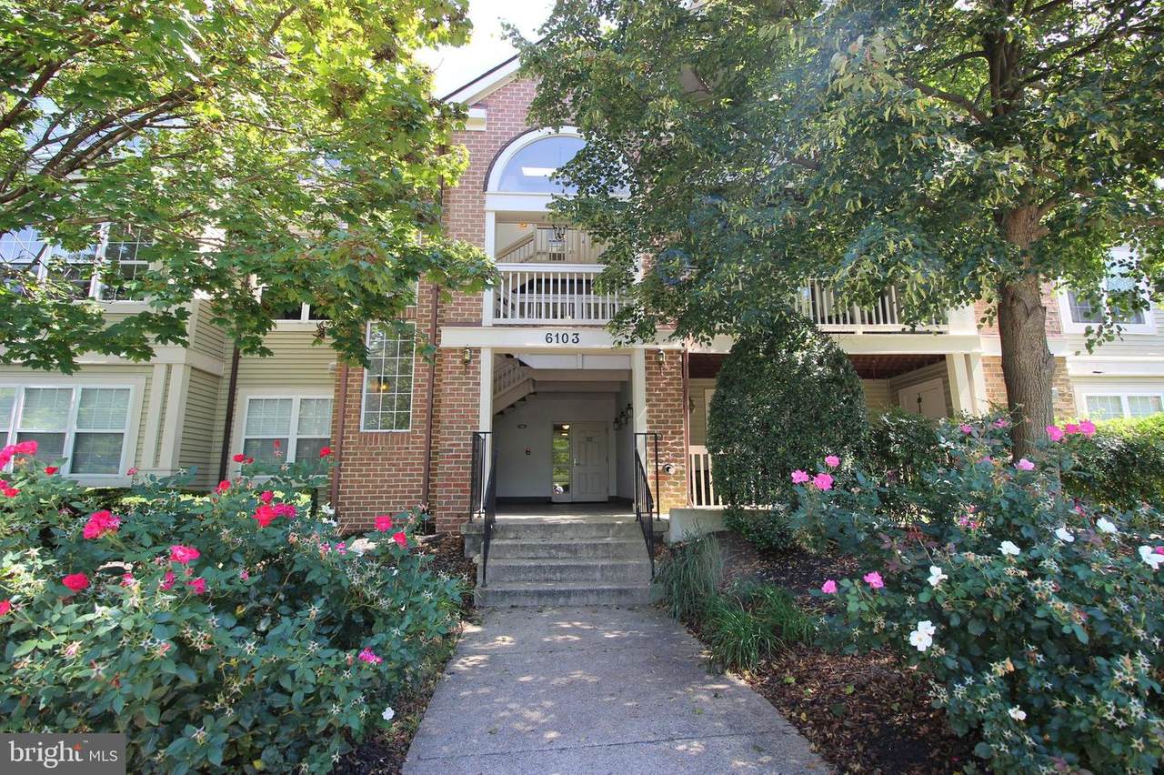 6103 Wigmore Lane - Photo 1