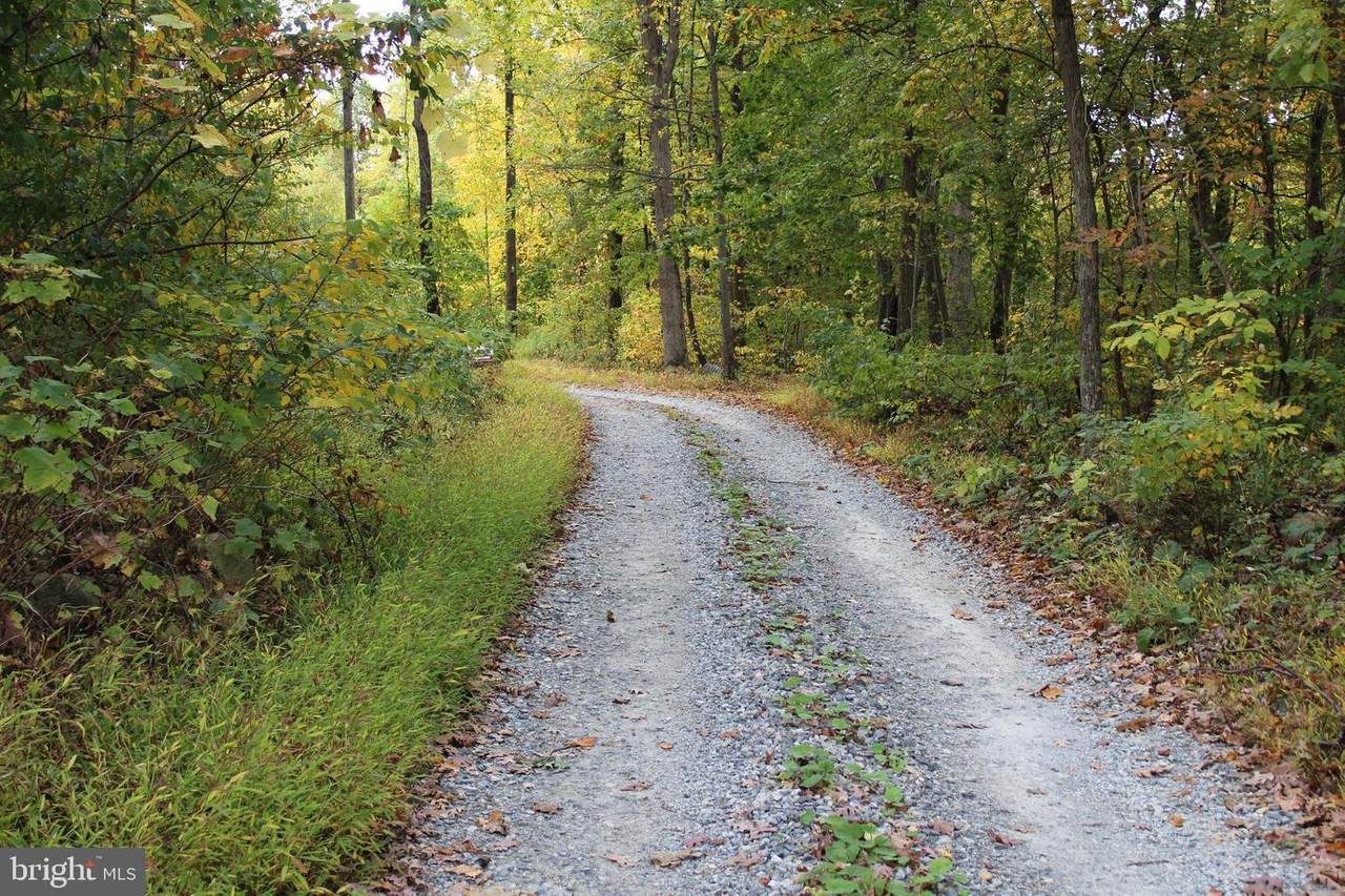 Lot 4 Foxville Road - Photo 1