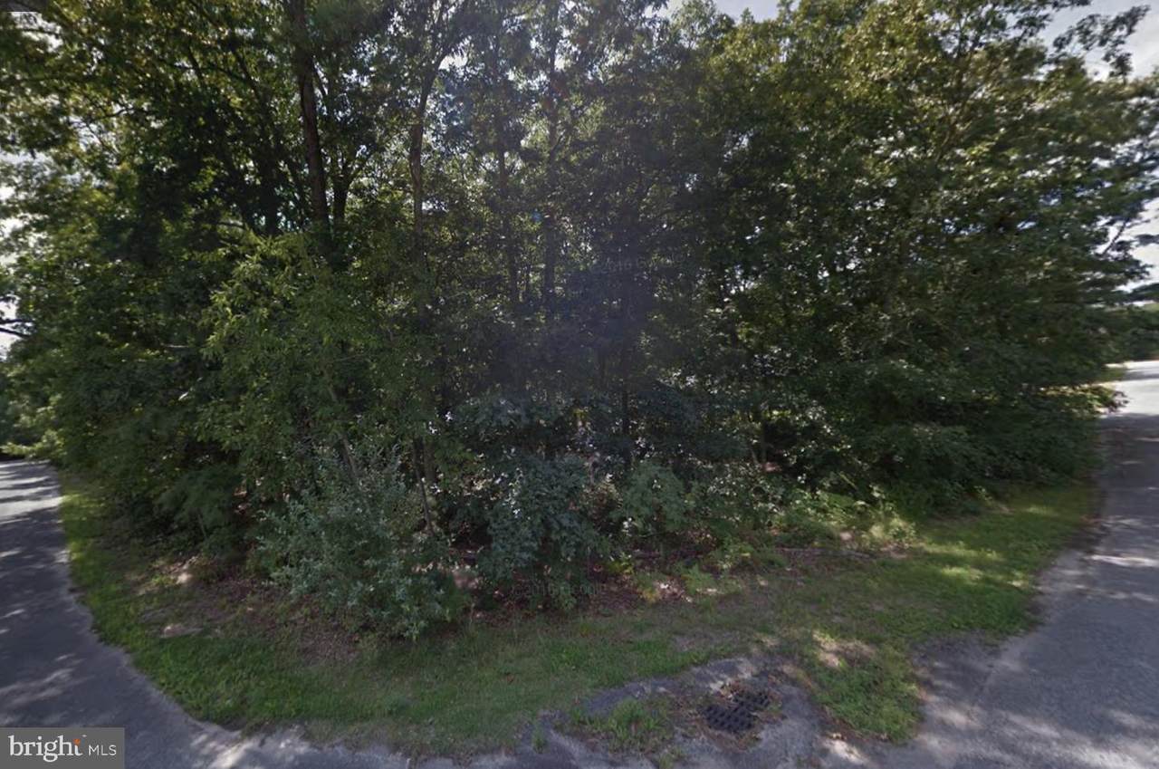 1005 Woodland Dr - Photo 1