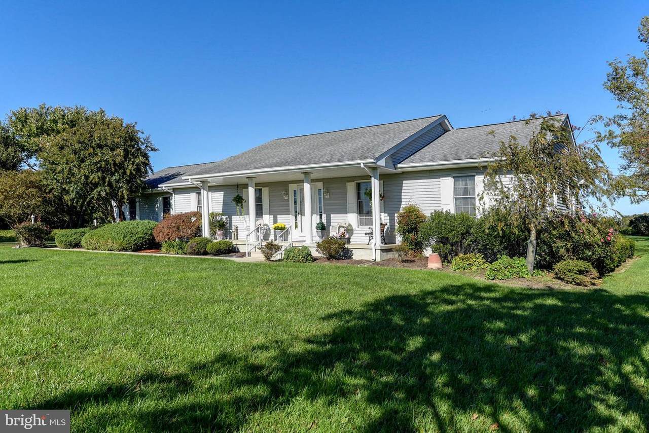 28477 Conaway Road - Photo 1