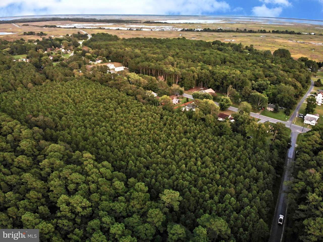 0 Haines Point Road - Photo 1