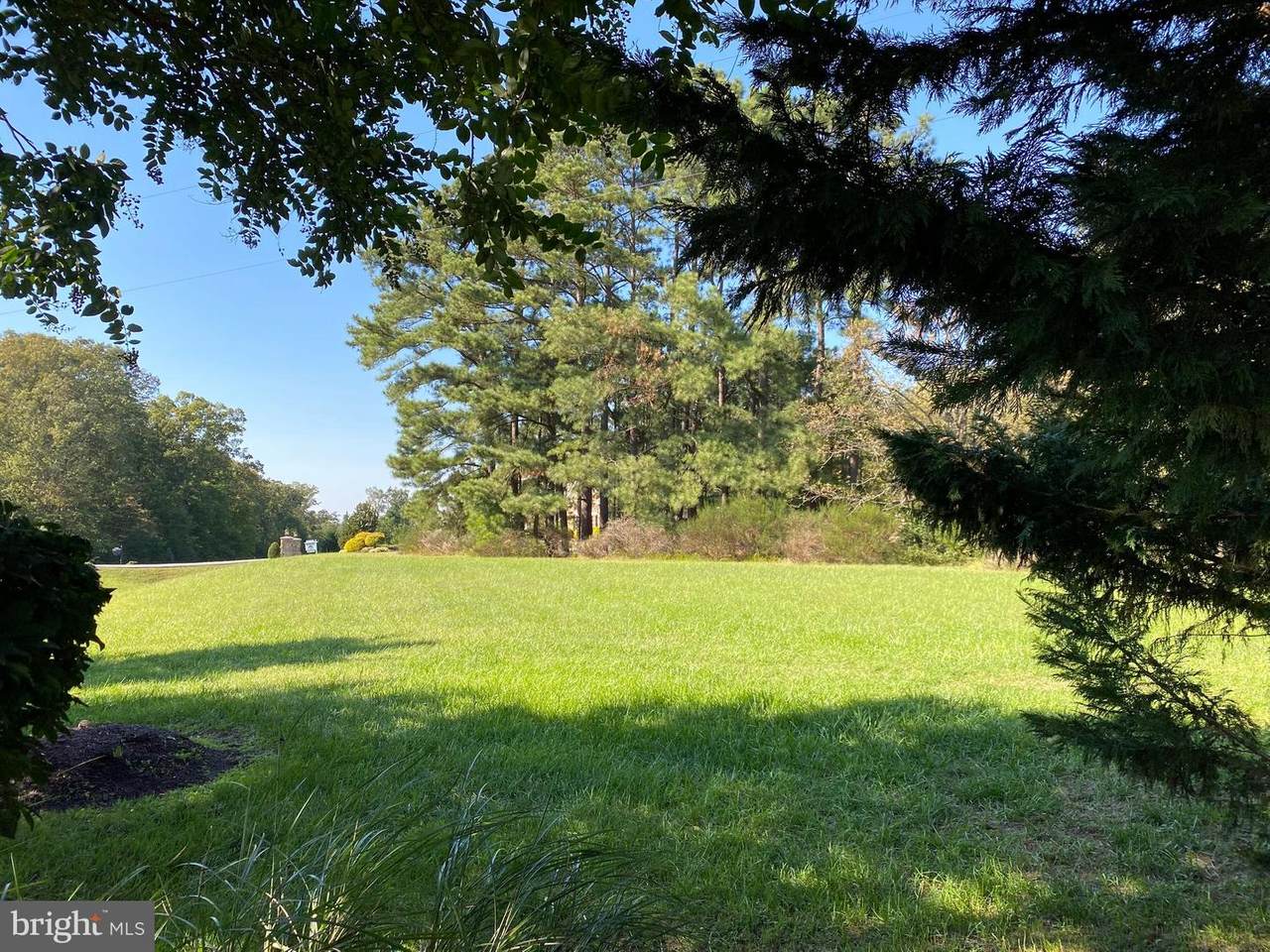 12606 Five Mile Road - Photo 1