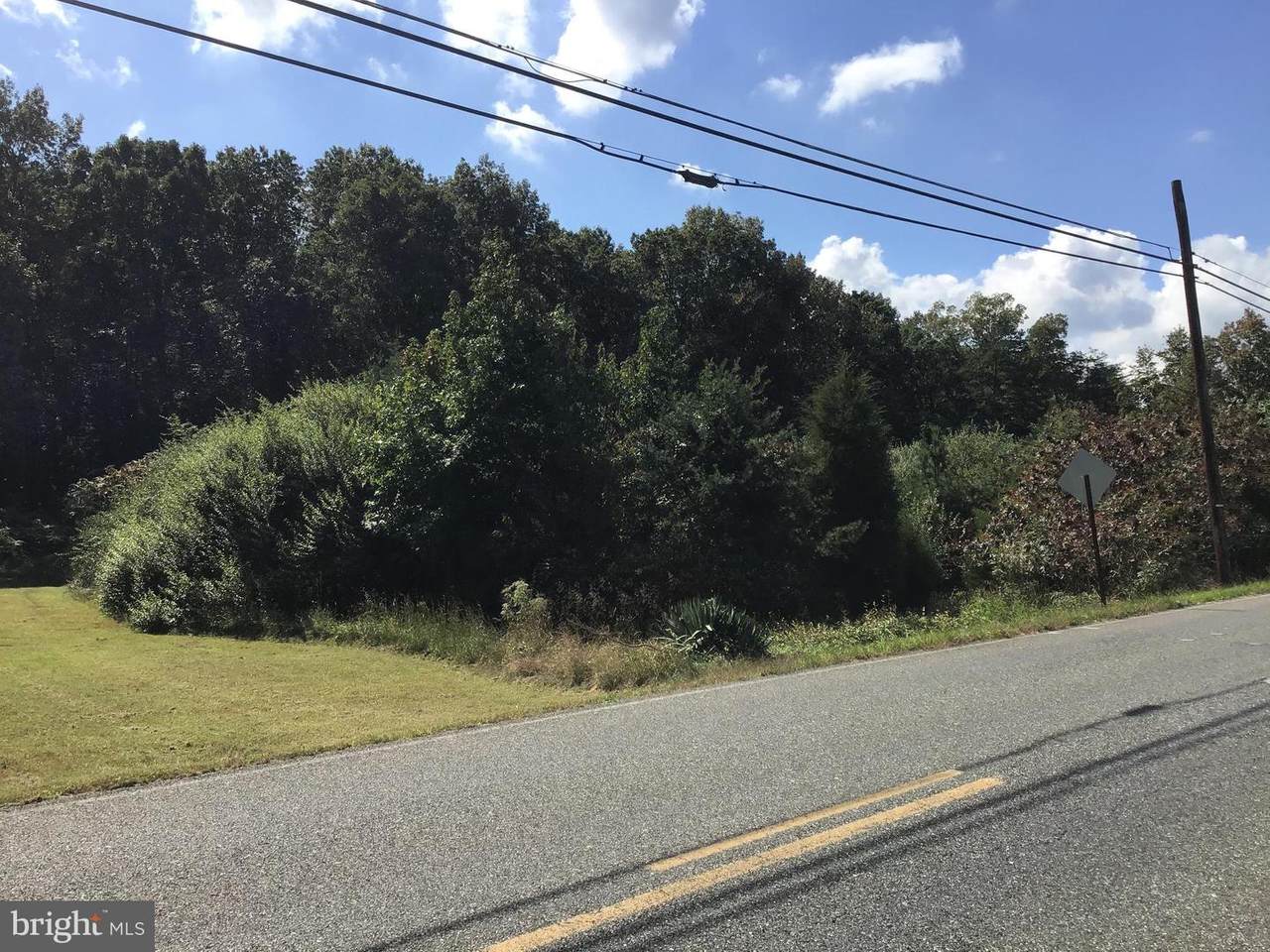 0 Pecks Corner Cohansey Road - Photo 1