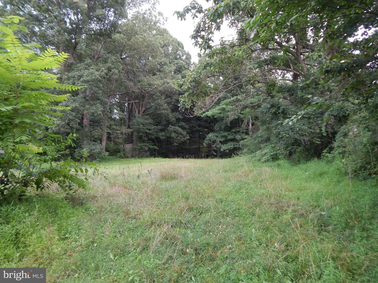 6737 White Rock Road - Photo 1