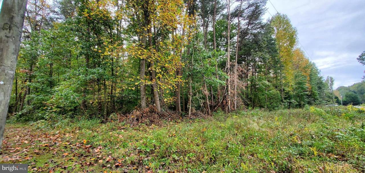 10028 Wallers Road - Photo 1
