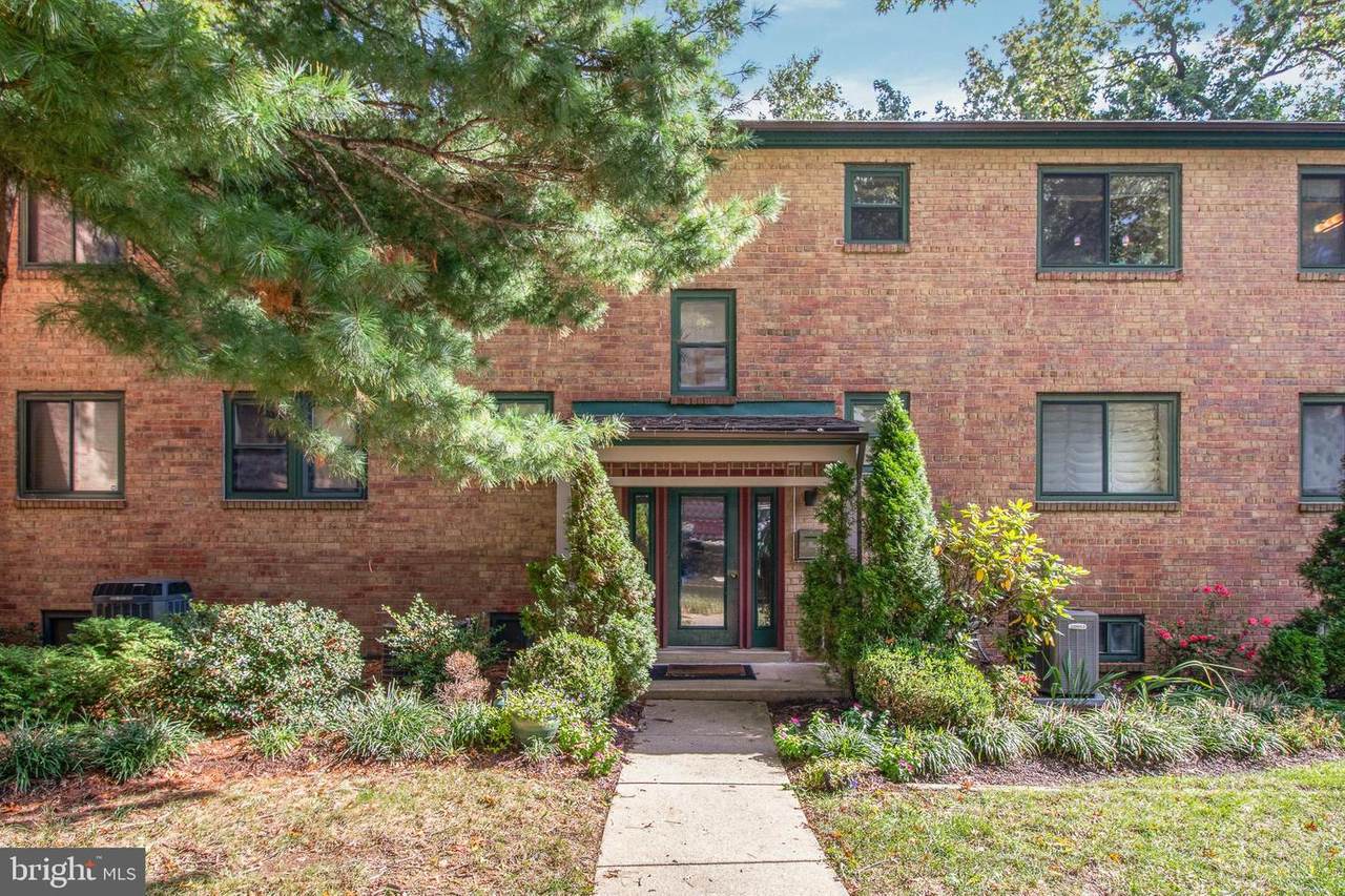 105 Paladin Drive - Photo 1