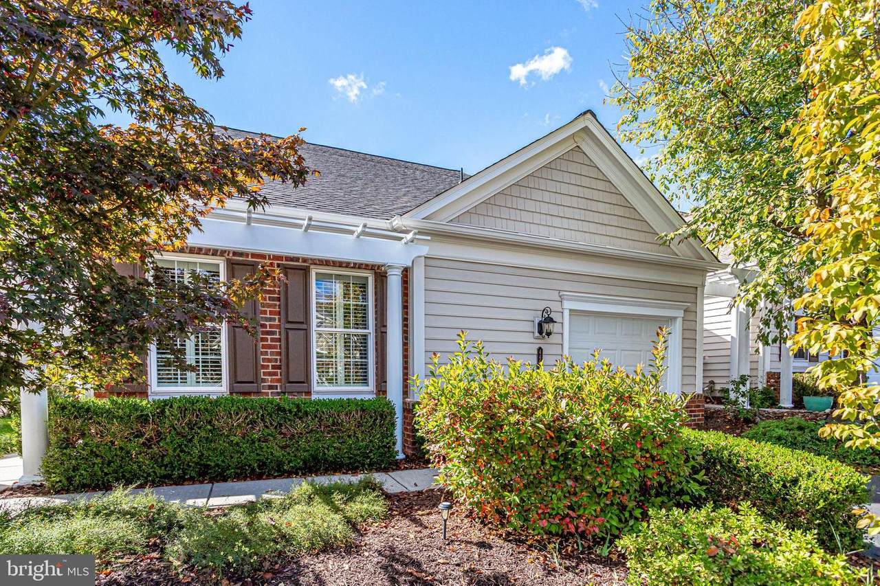44505 Maltese Falcon Square - Photo 1